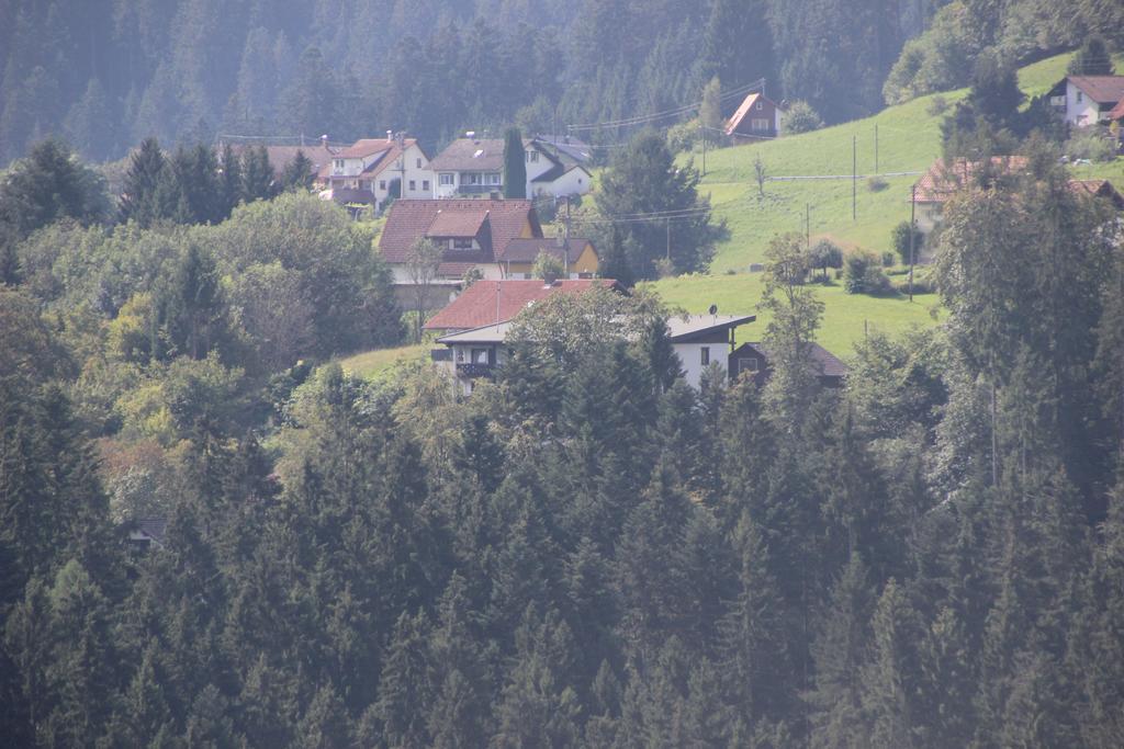 Hotel Schloss Silberberg Baiersbronn Exterior foto